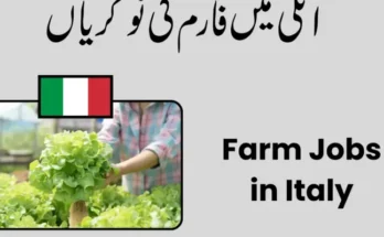 Farm Jobs in Italy 2026