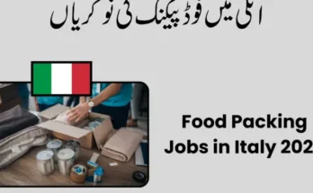 Food Packing Jobs in Italy 2026