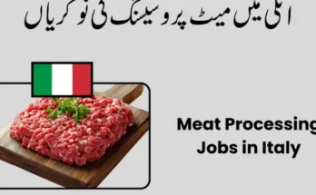 Italy Meat Processing Jobs 2026