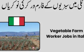 Vegetable Farm Jobs in Italy 2026